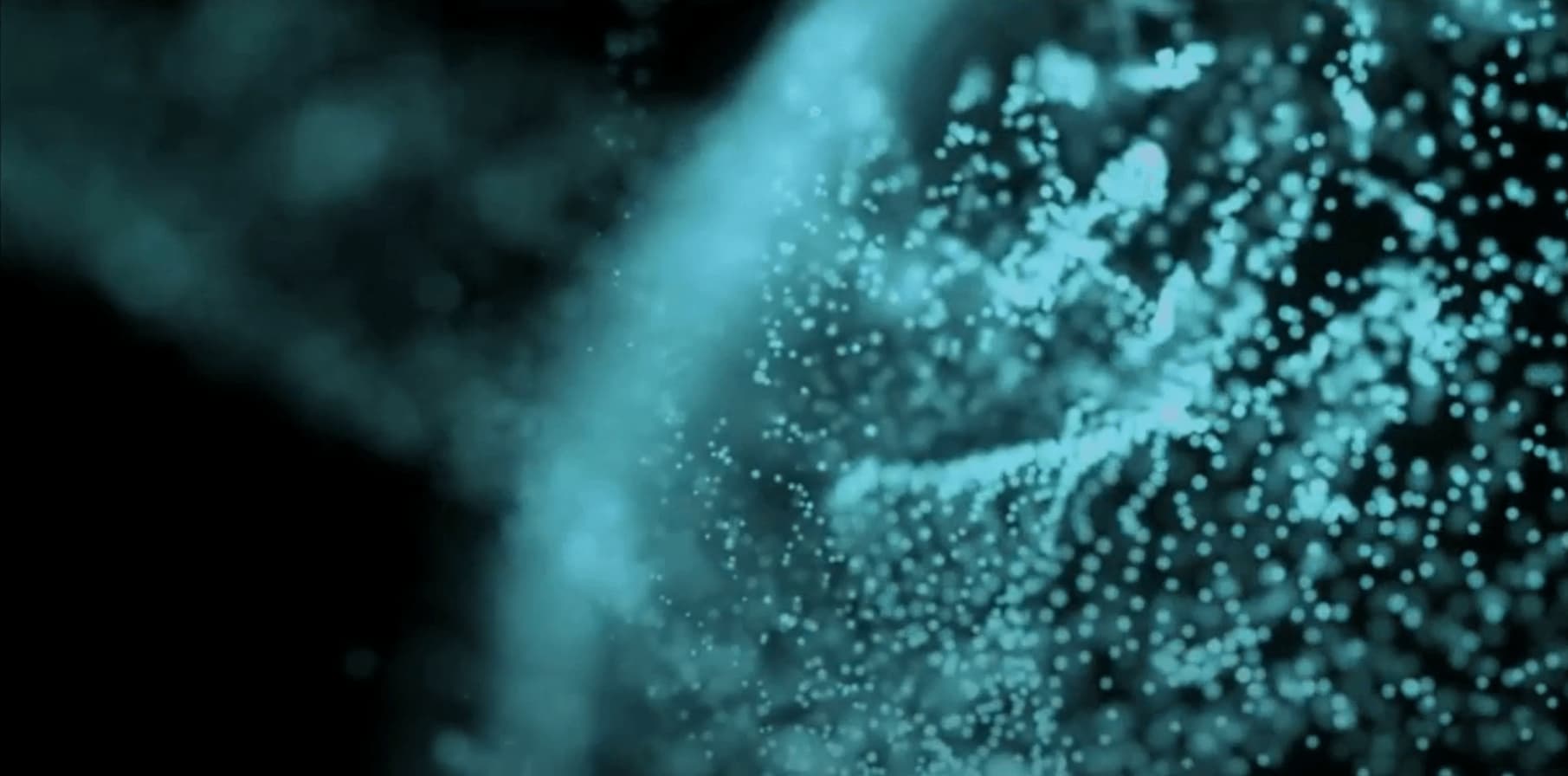 Cover Image for Solitary