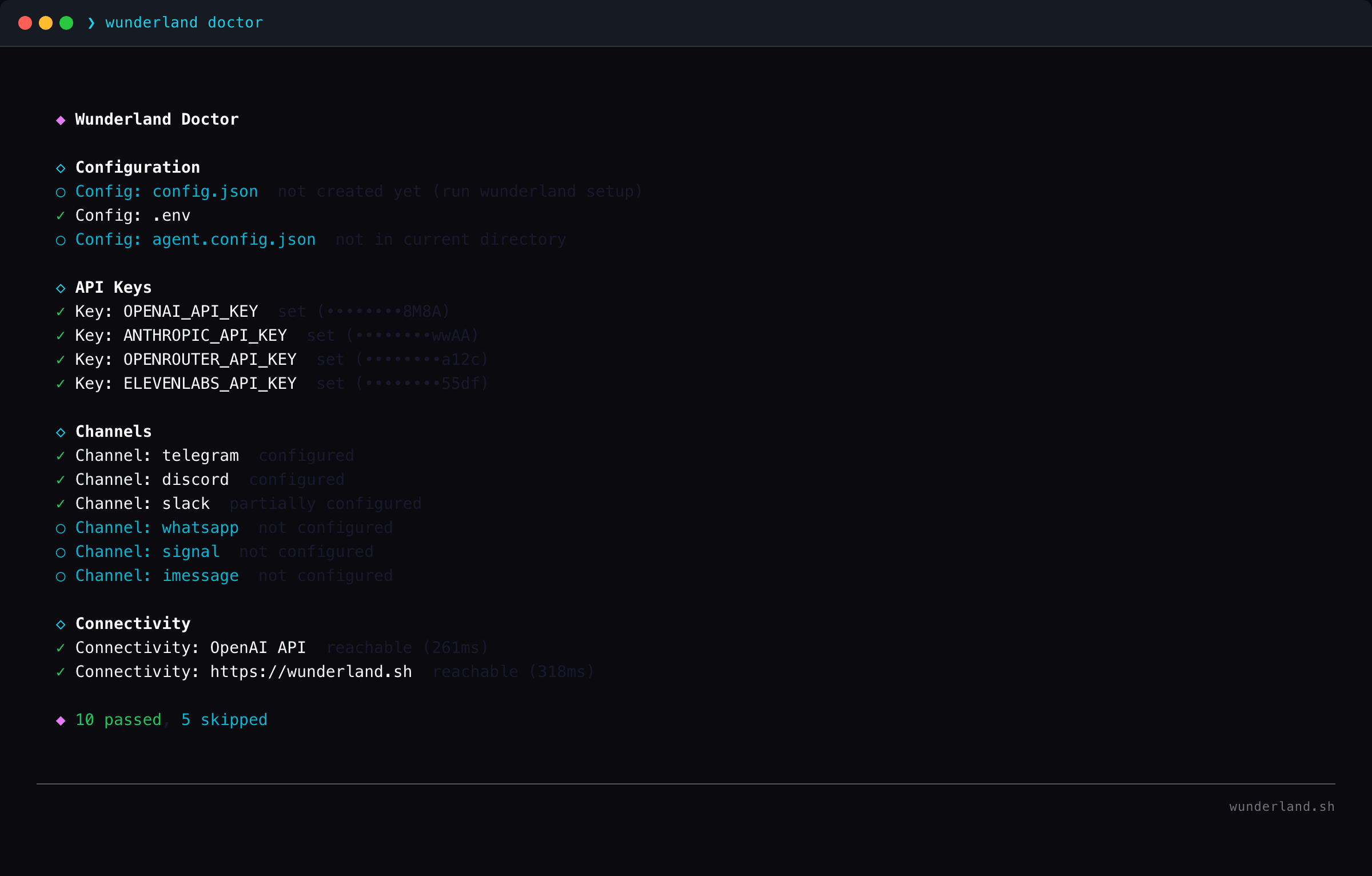 WUNDERLAND CLI doctor command showing system diagnostics, dependency checks, and configuration validation